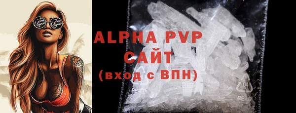 индика Бородино
