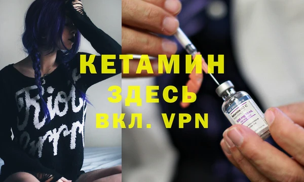индика Бородино