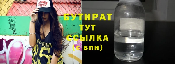 индика Бородино