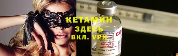 индика Бородино