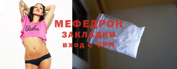 индика Бородино