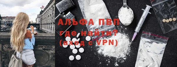 спиды Верея