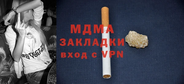 индика Бородино