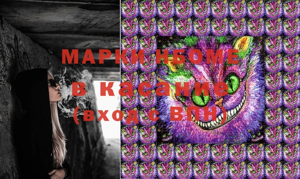 индика Бородино