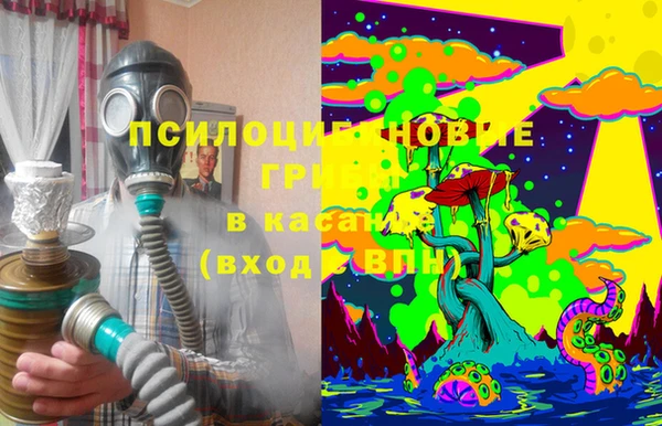 гидра Бронницы