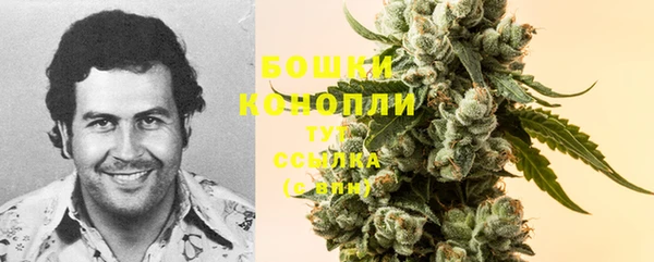 индика Бородино
