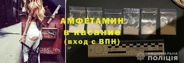 индика Бородино