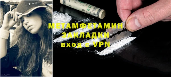 индика Бородино